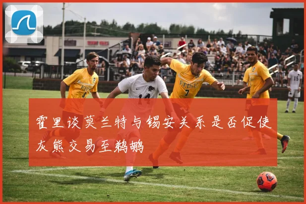 霍里谈莫兰特与锡安关系是否促使灰熊交易至鹈鹕