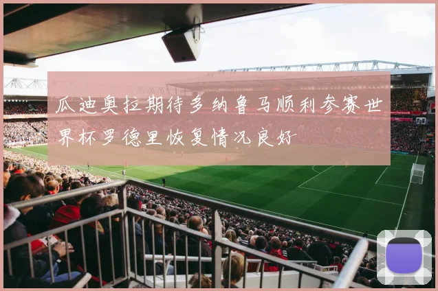 瓜迪奥拉期待多纳鲁马顺利参赛世界杯罗德里恢复情况良好